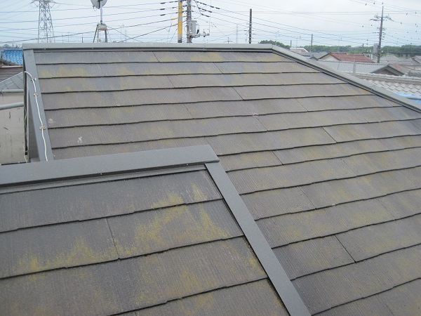 愛知県みよし市　屋根塗装　屋根・外壁診断0円　症状　色褪せ　苔　藻　サビ　変色